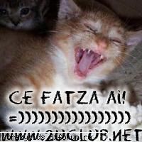 mah ioana eshty pe locul 3 datorita mie.ar trebui sa imi topurile in clasa 